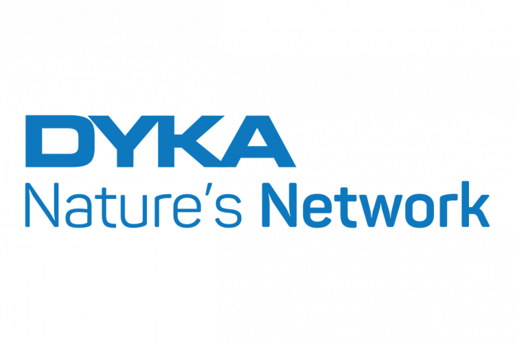 DYKA logo.png